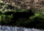 TONY HOWES - IT COULD BE A FOX BUT MAYBE NOT